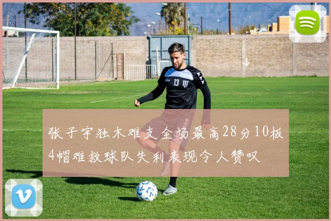张子宇独木难支全场最高28分10板4帽难救球队失利表现令人赞叹